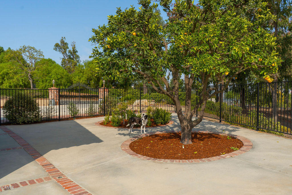 12082 Presilla Road Camarillo, CA 93012 - Photo 45 of 70 DSC01709