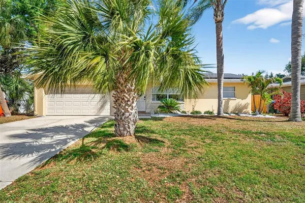 a view of a yard with a tree