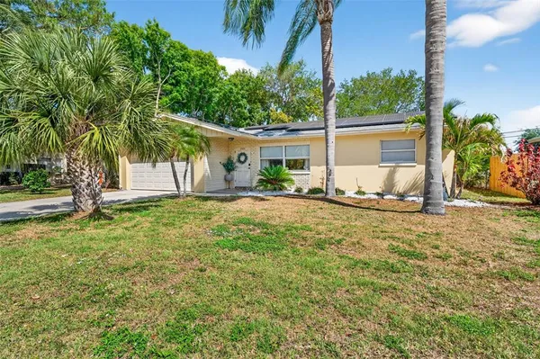 a view of a backyard with a garden and palm trees
