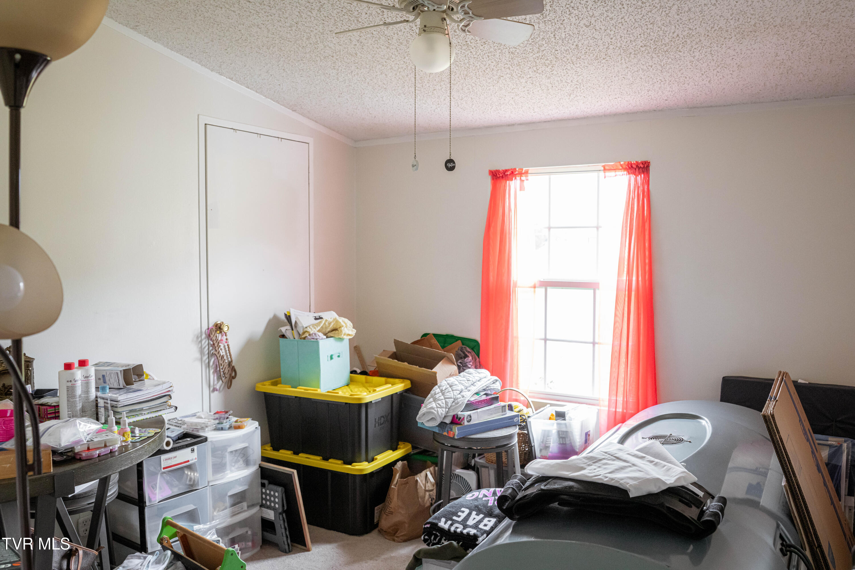 5 Jarrell Road Mohawk, TN 37810 - Photo 29 of 41 DanielleRickerPhotography-07745