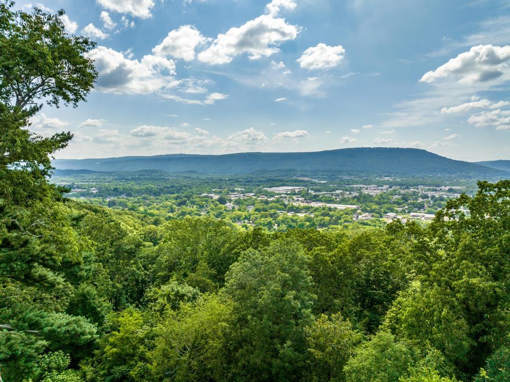 593 South Crest Road Chattanooga, TN 37404 - Photo 63 of 64 Lookout Moutain View