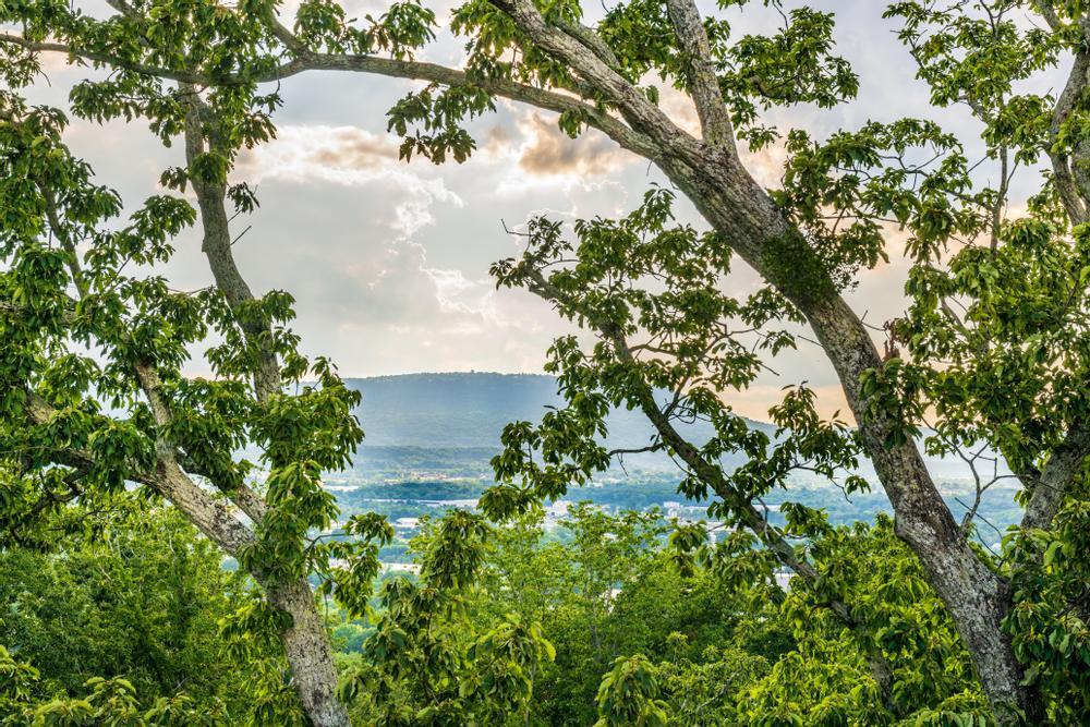 593 South Crest Road Chattanooga, TN 37404 - Photo 7 of 64 Sunset View of Lookout