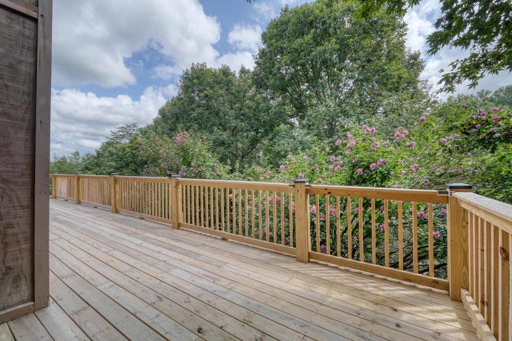 1924 Cook Bridge Road Murphy, NC 28906 - Photo 50 of 75