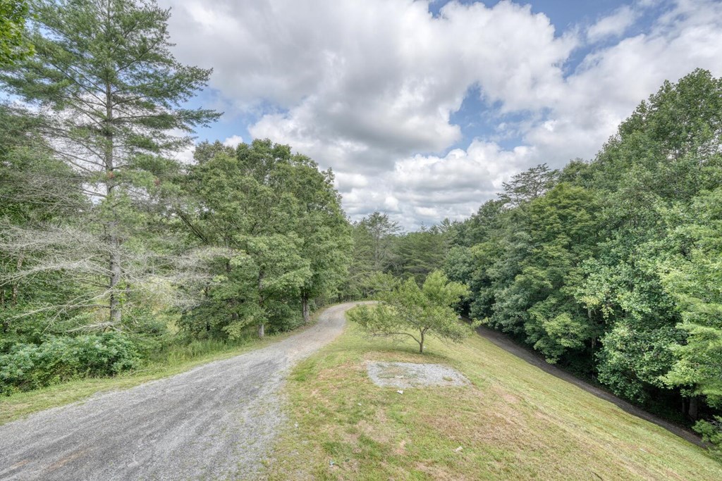 1924 Cook Bridge Road Murphy, NC 28906 - Photo 55 of 75