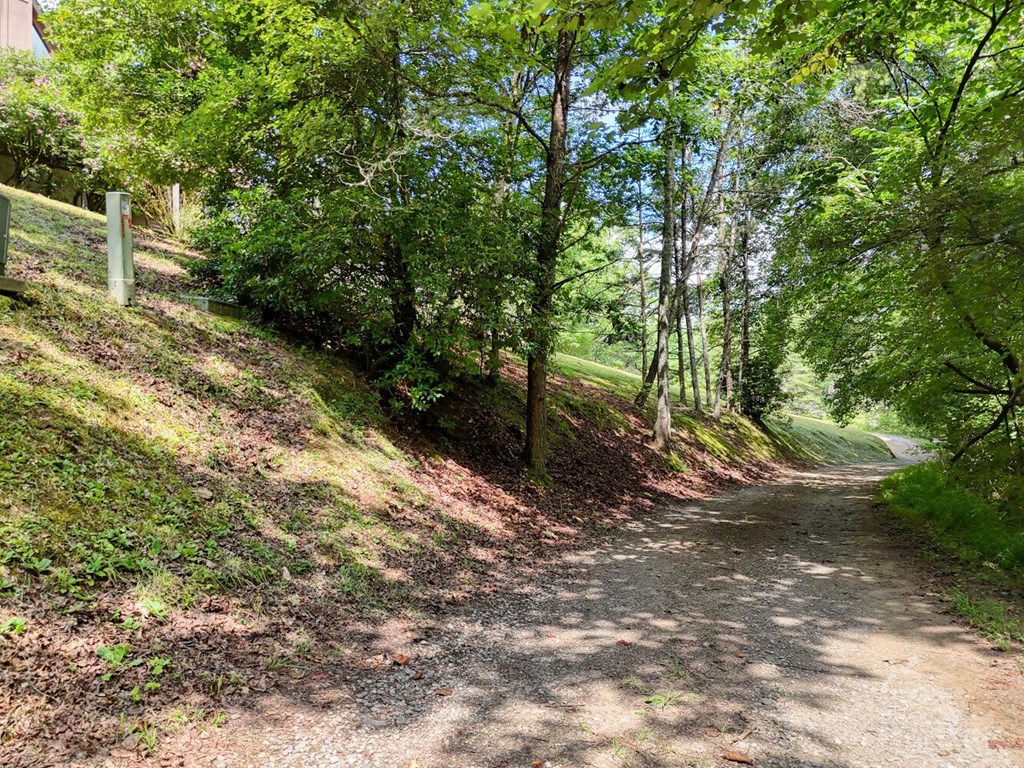 1924 Cook Bridge Road Murphy, NC 28906 - Photo 56 of 75