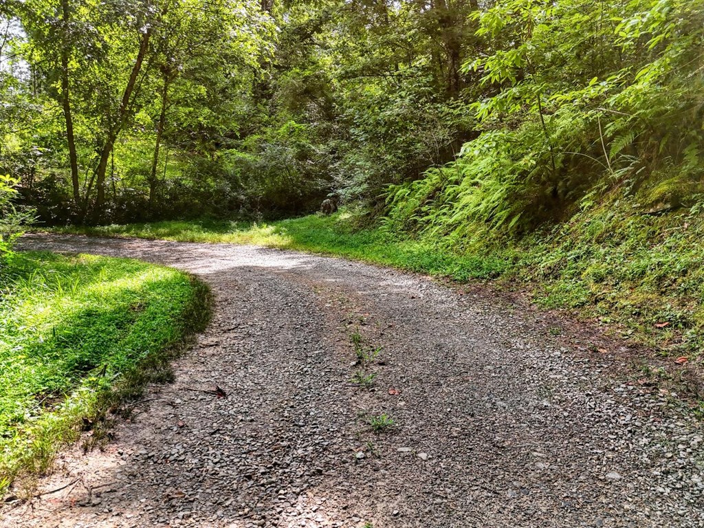 1924 Cook Bridge Road Murphy, NC 28906 - Photo 57 of 75
