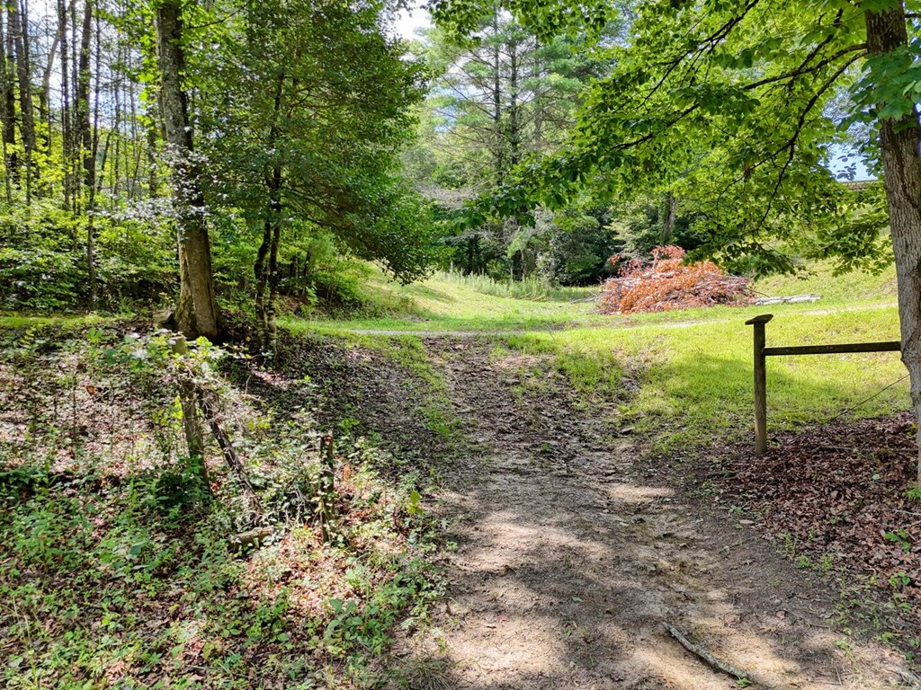 1924 Cook Bridge Road Murphy, NC 28906 - Photo 63 of 75