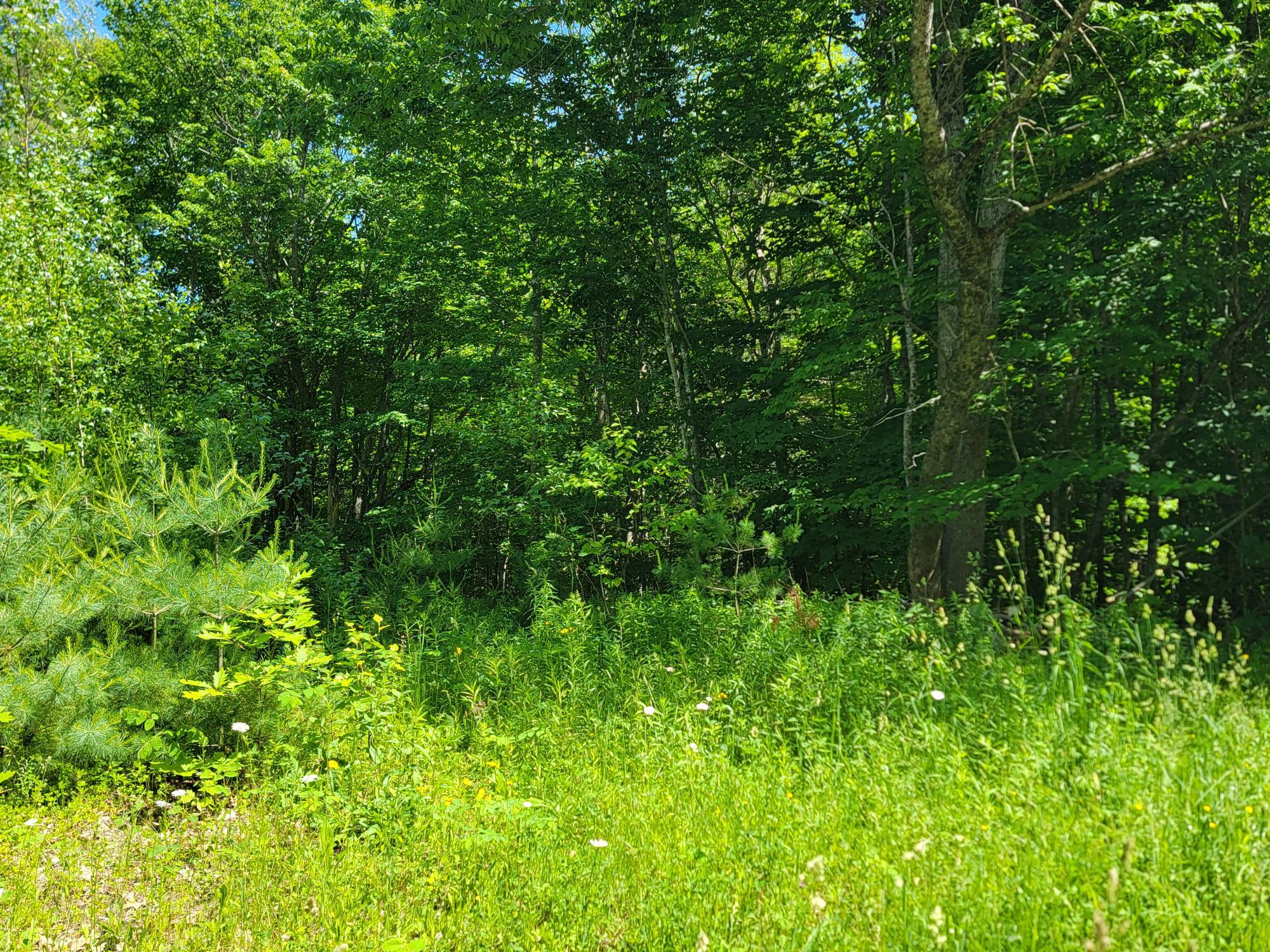 477 Hadley Mill Road Jackson, ME 04921 - Photo 32 of 32