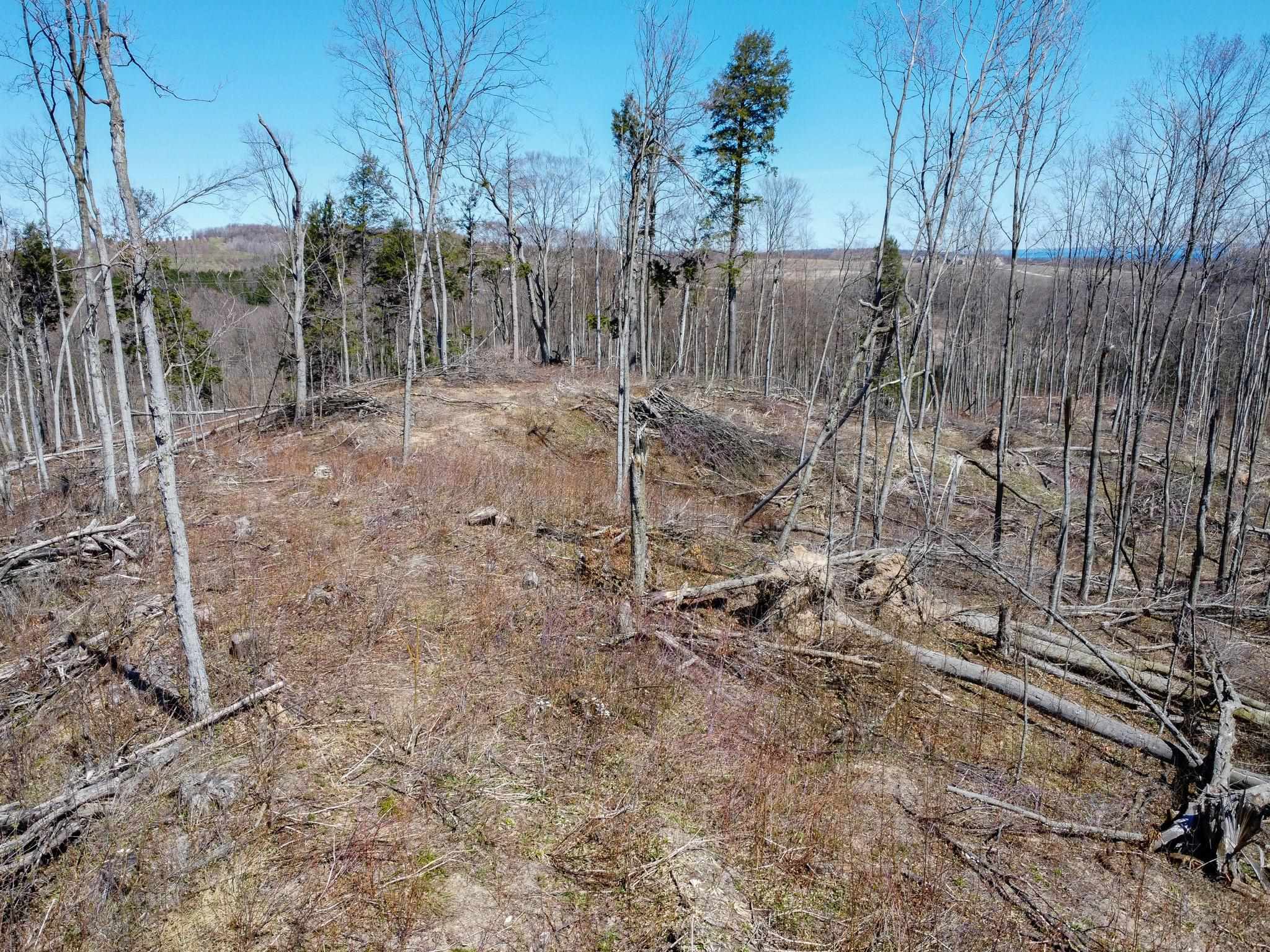 0 East Smiseth Road Suttons Bay, MI 49682 - Photo 15 of 67