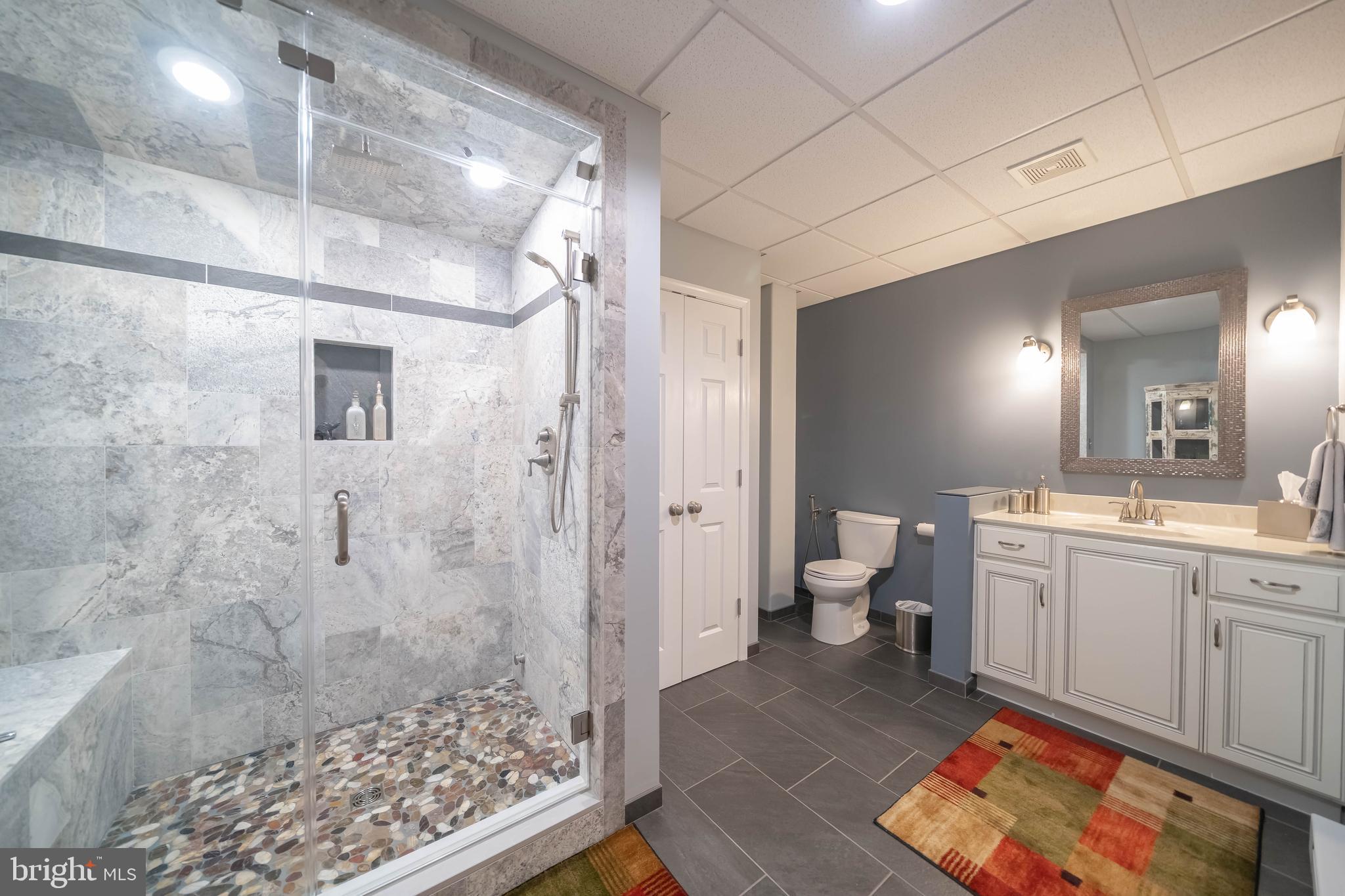 1303 Lenape Road West Chester, PA 19382 - Photo 61 of 94 Lower Level Bath with Steam Shower