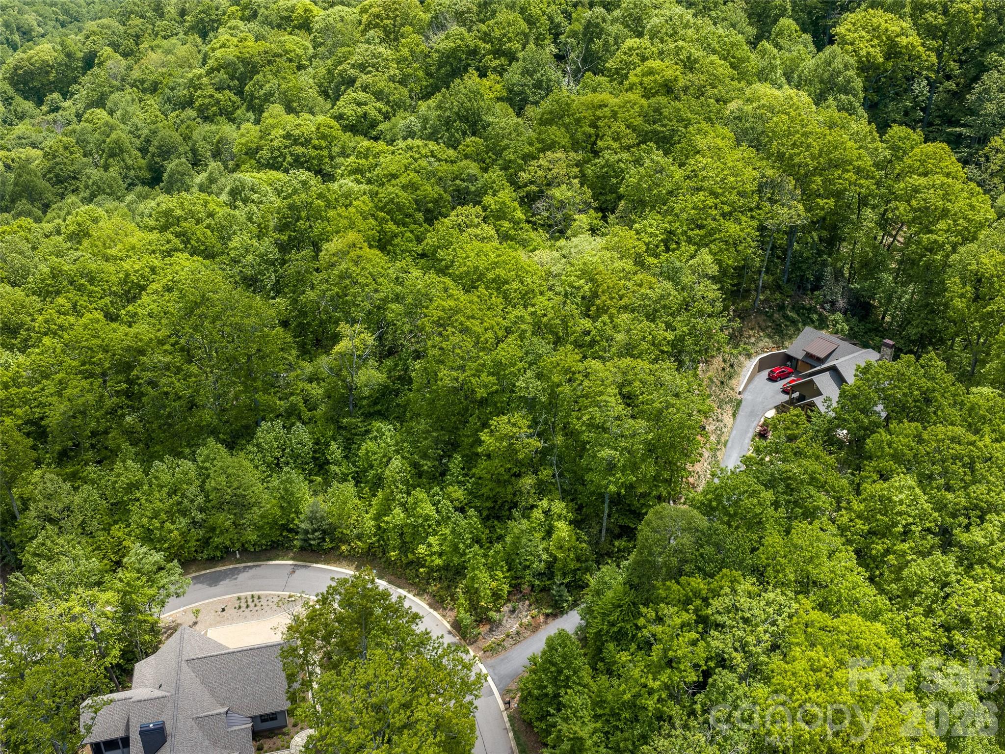 9 Crockett Ridge Road Black Mountain, NC 28711 - Photo 10 of 17