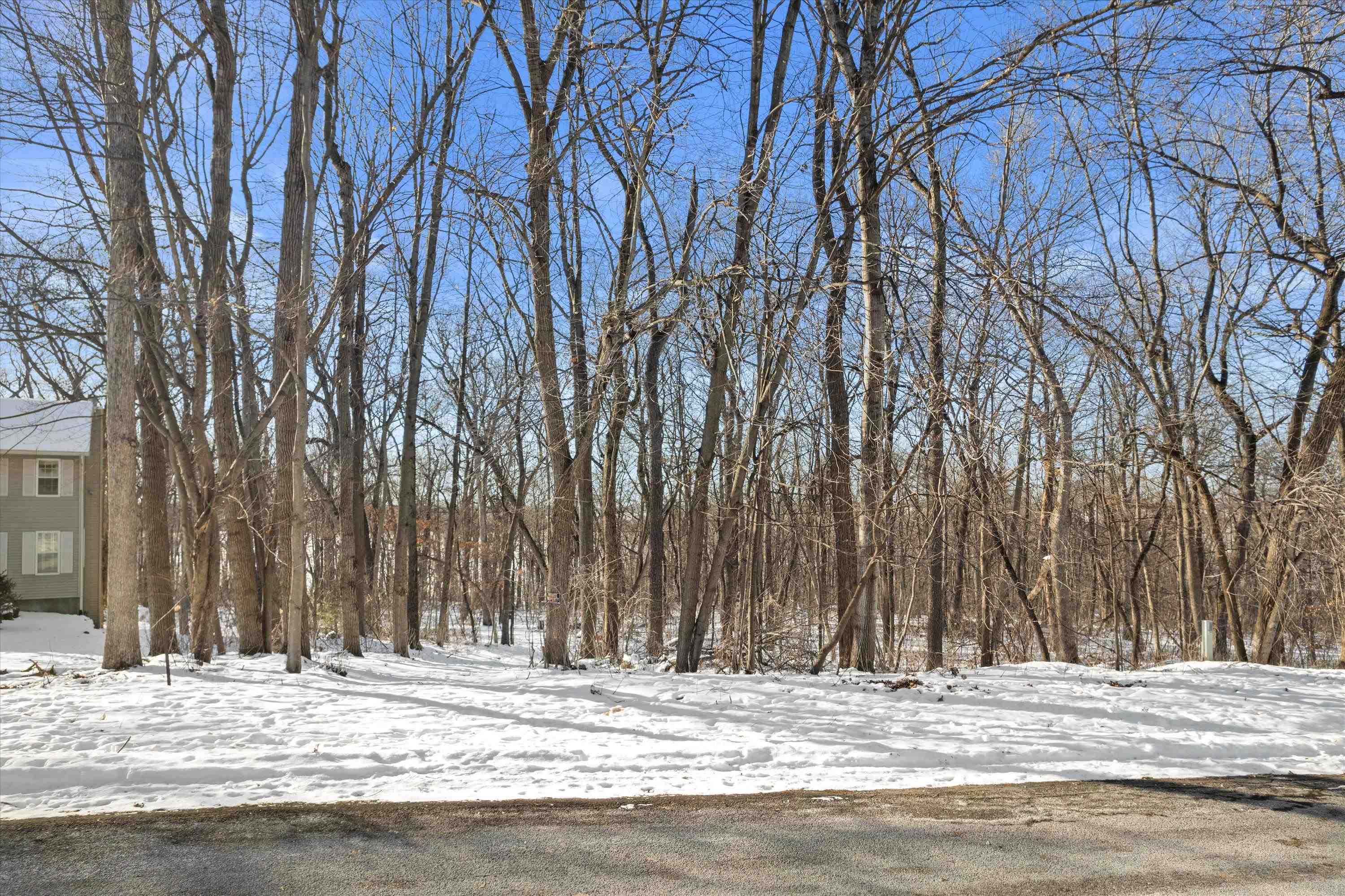 Lot 11 Maple Heights Marshall, WI 53559 - Photo 4 of 8