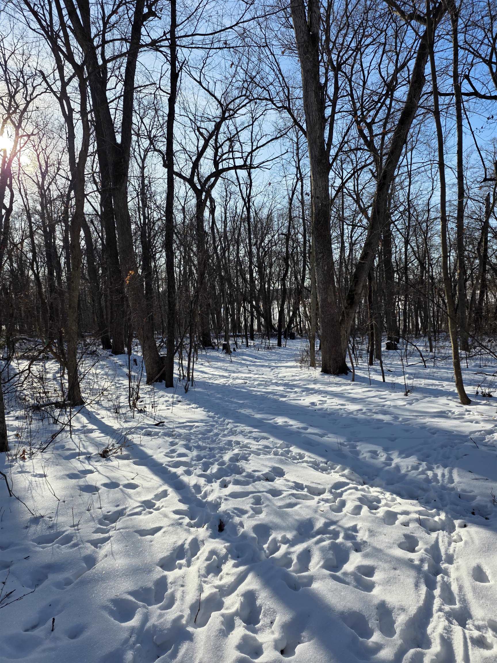 Lot 11 Maple Heights Marshall, WI 53559 - Photo 5 of 8