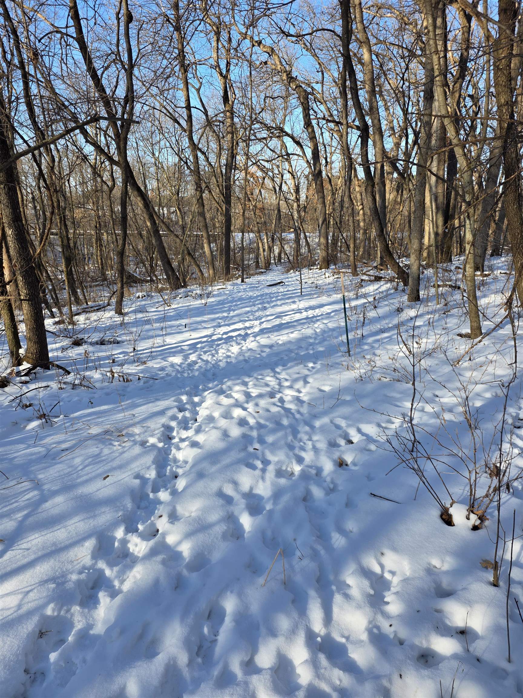 Lot 11 Maple Heights Marshall, WI 53559 - Photo 6 of 8