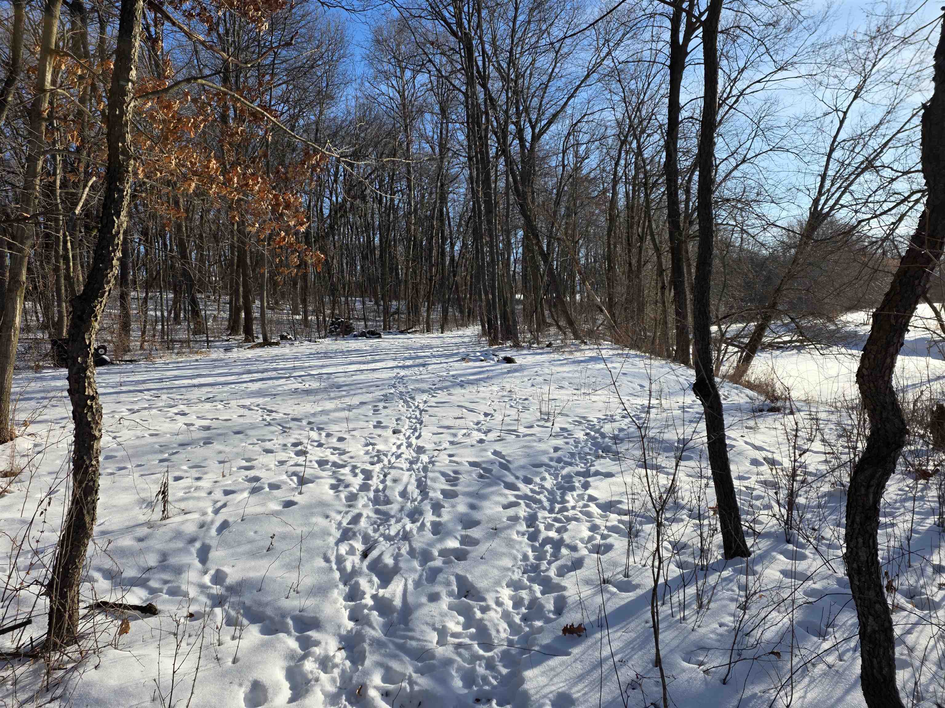 Lot 11 Maple Heights Marshall, WI 53559 - Photo 8 of 8