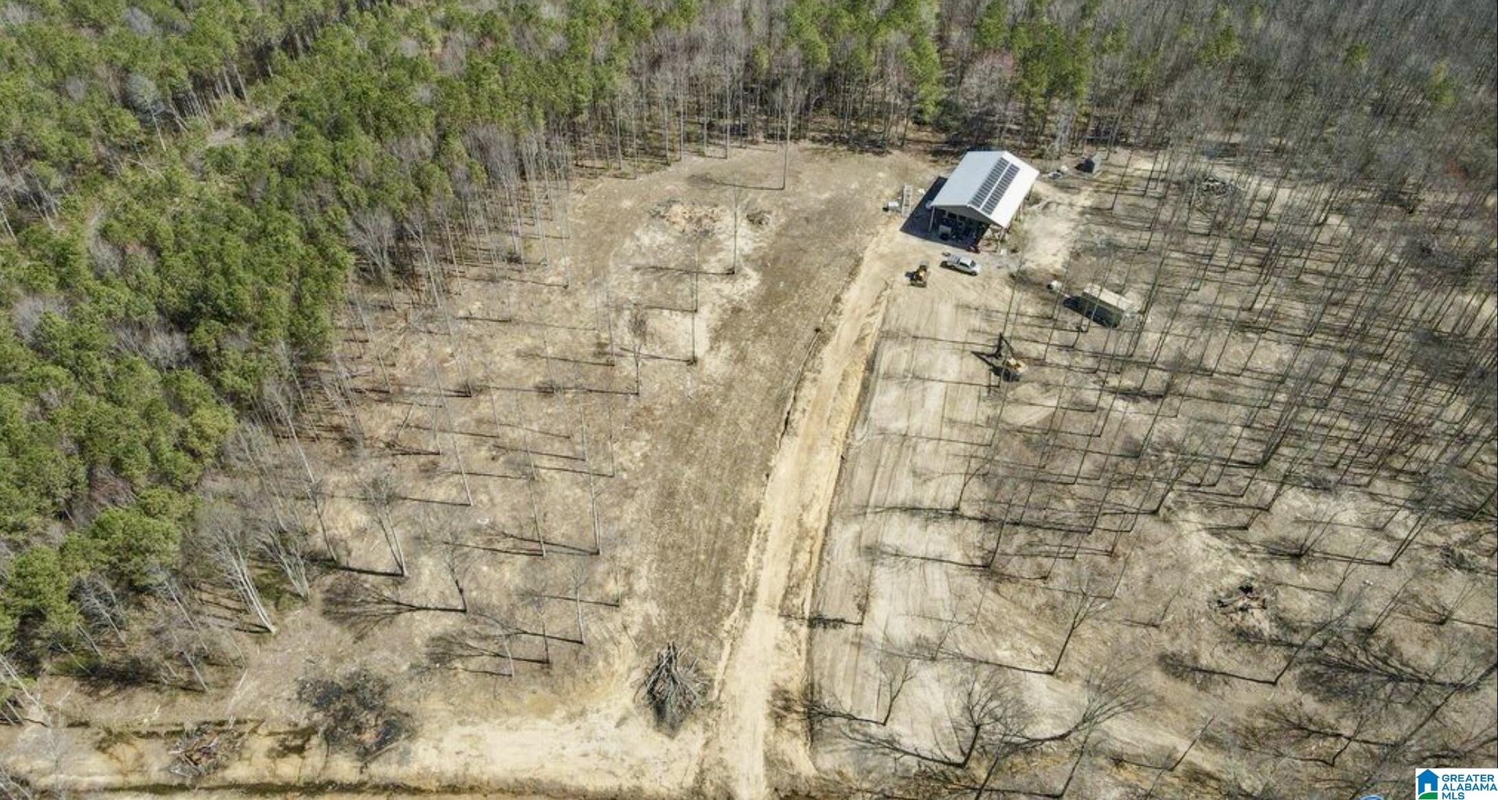 657 Maze Road Arab, AL 35016 - Photo 5 of 18