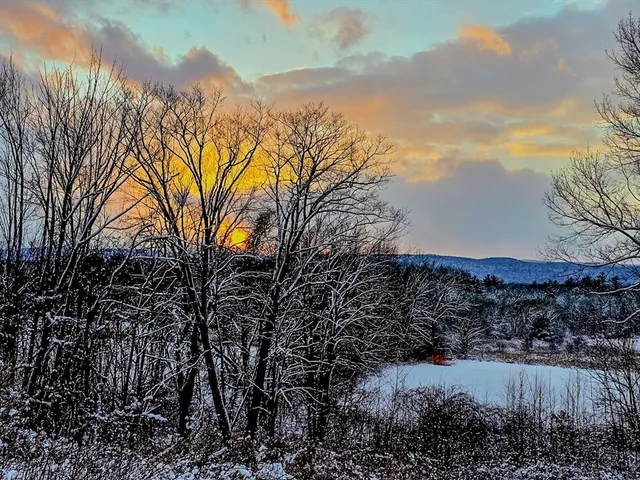 a view of mountain view with lots of trees