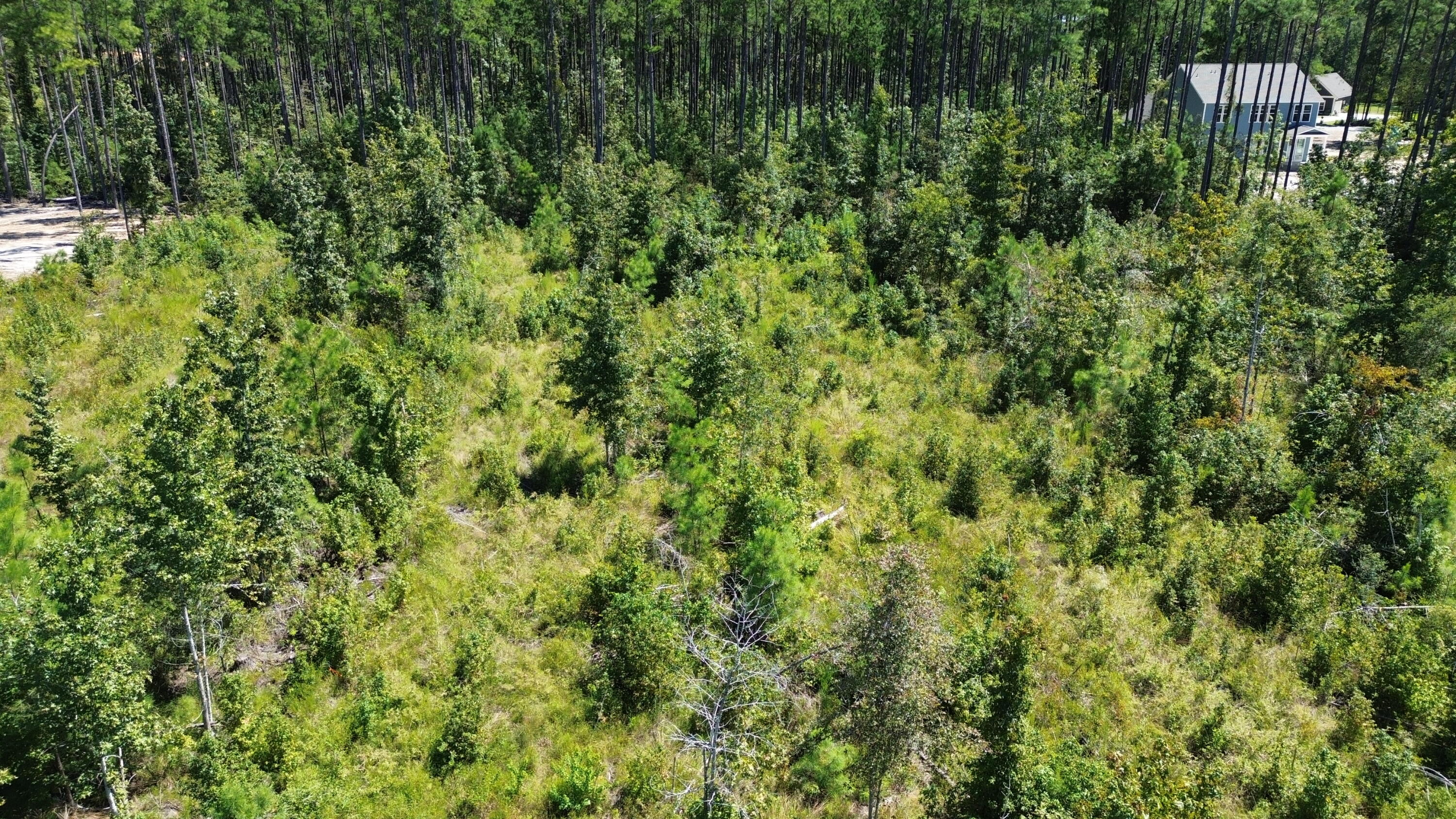 DJI_0682