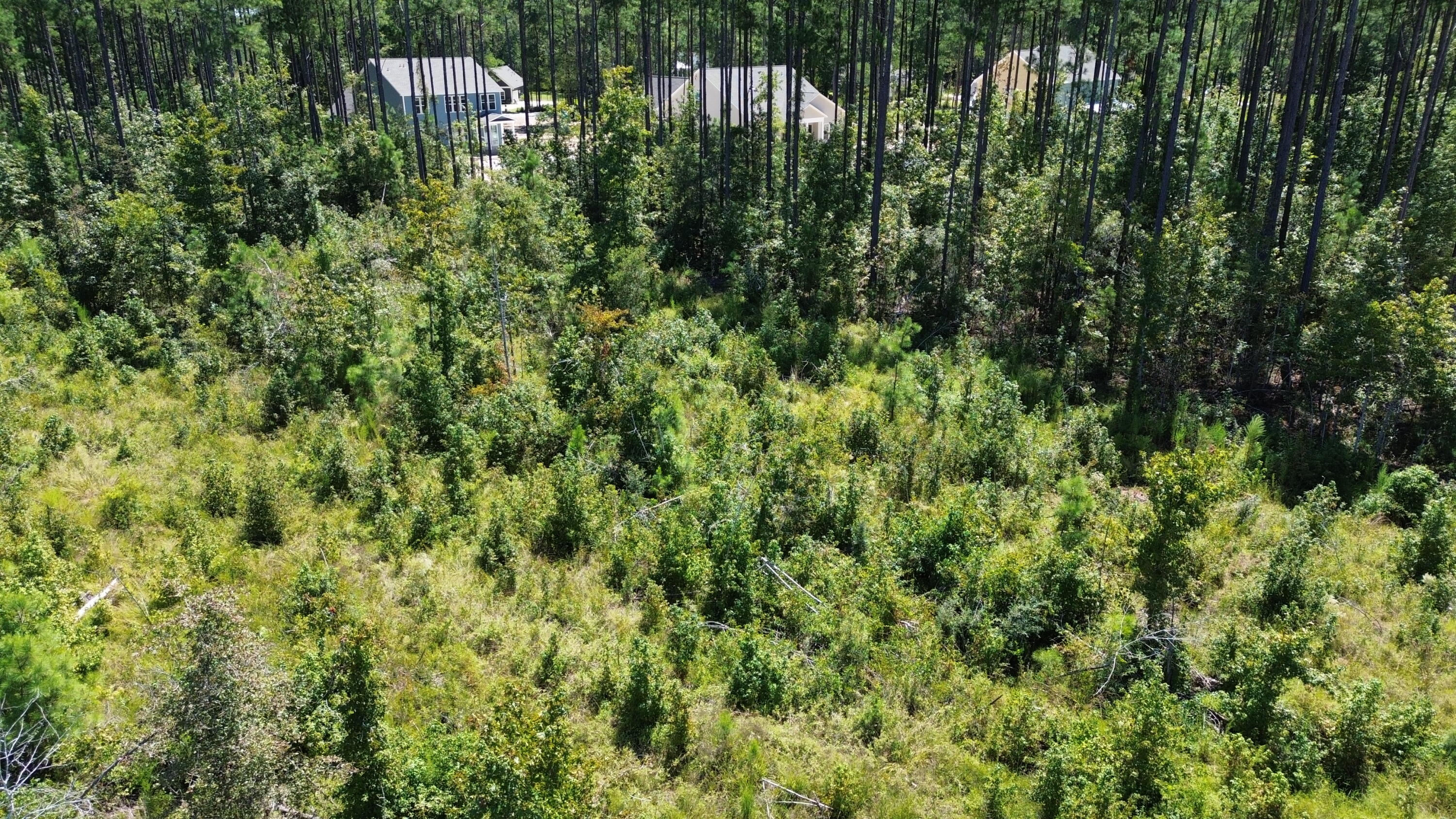 DJI_0683