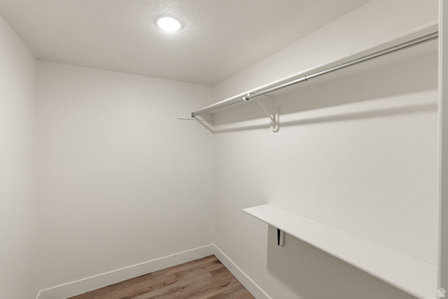 368 Spring Creek Road Providence, UT 84332 - Photo 32 of 45 Walk in closet with light wood-style floors