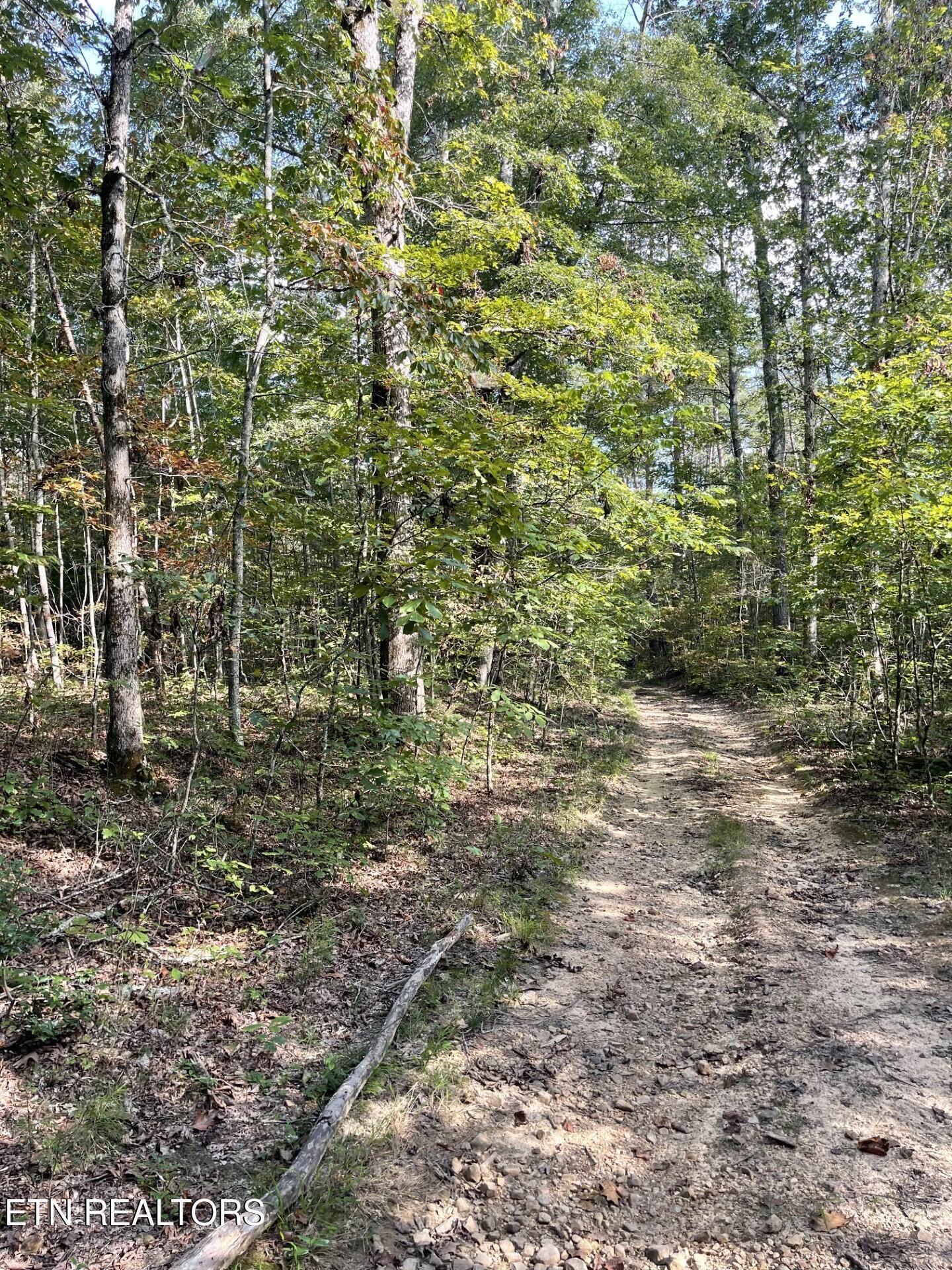 0 Off Buckridge Road Crossville, TN 38572 - Photo 11 of 19 Gallery Image 11