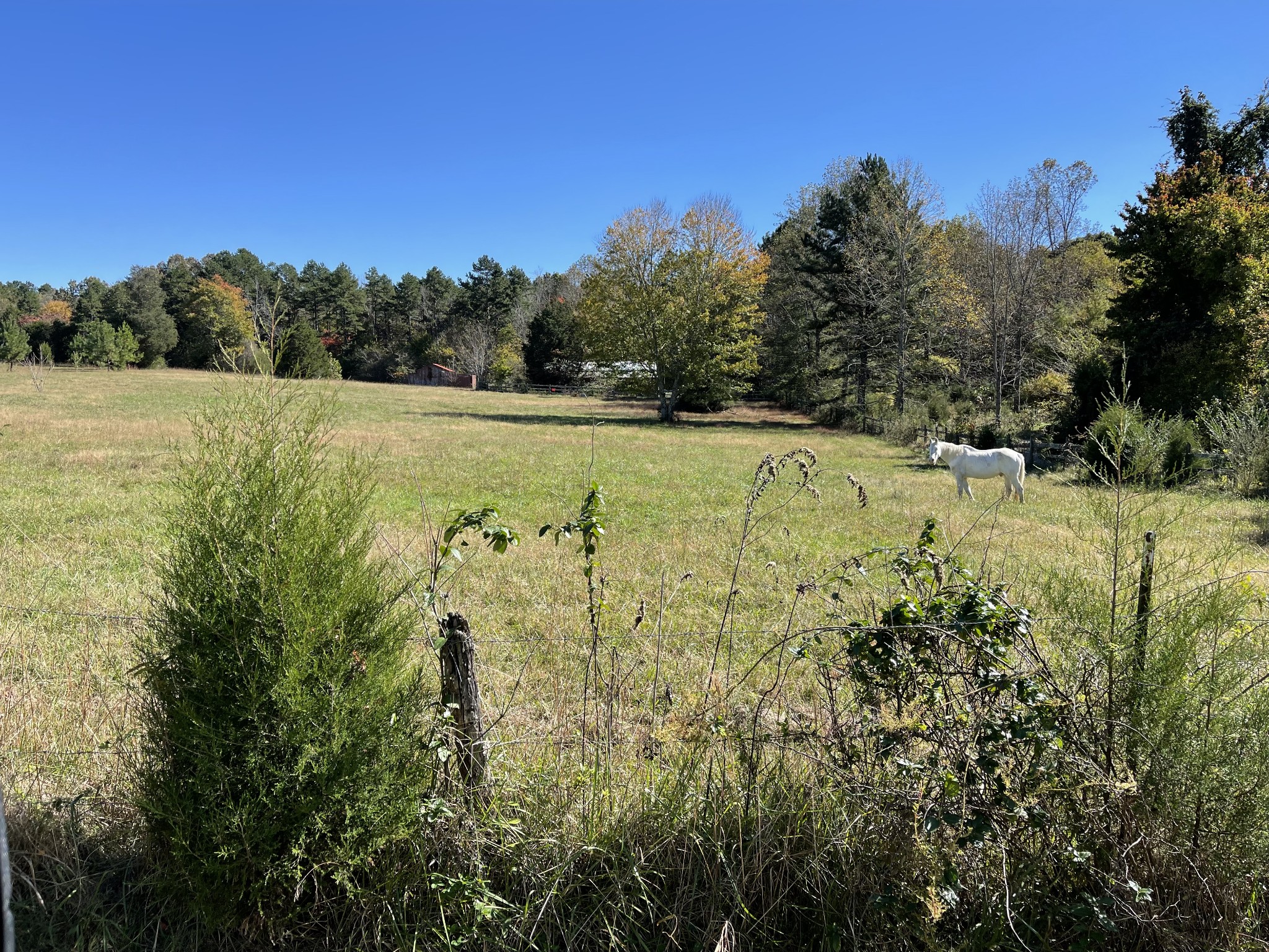 0 Deerwood Road Dickson, TN 37055 - Photo 16 of 24 Gallery Image 16