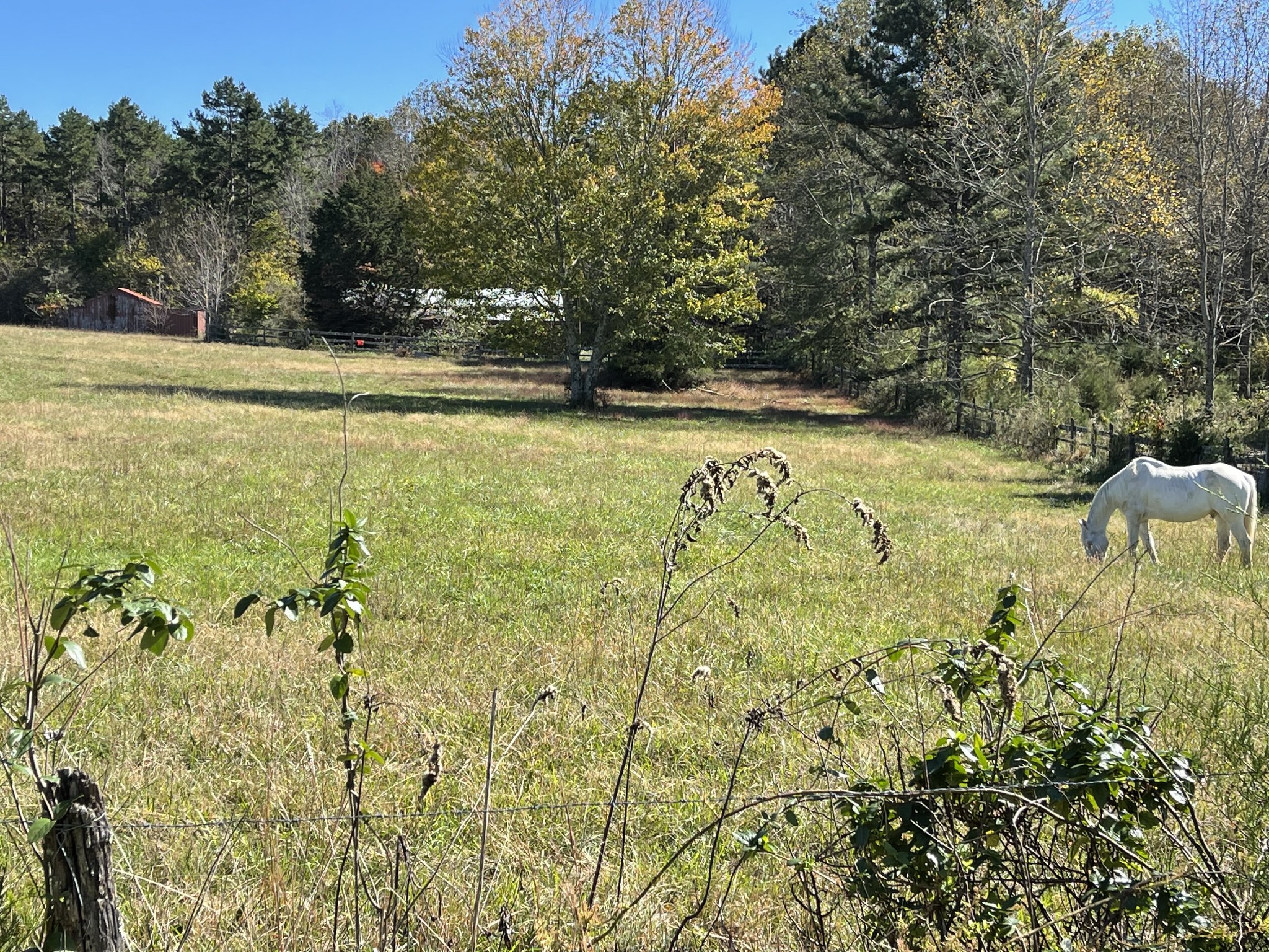 0 Deerwood Road Dickson, TN 37055 - Photo 17 of 24 Gallery Image 17