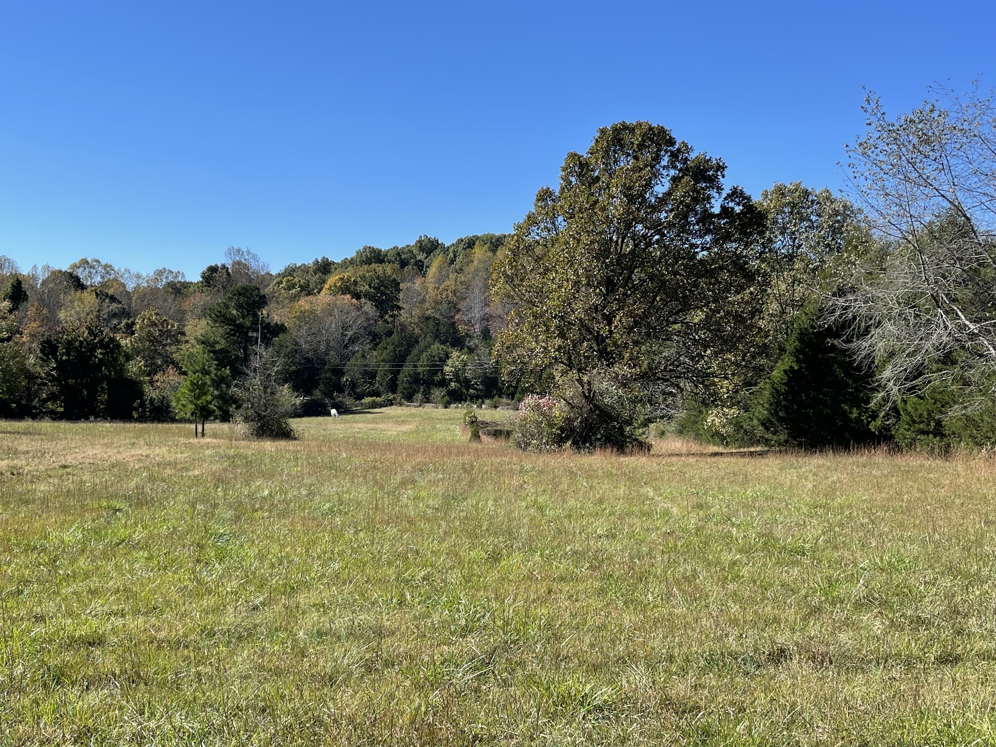 0 Deerwood Road Dickson, TN 37055 - Photo 19 of 24 Gallery Image 19