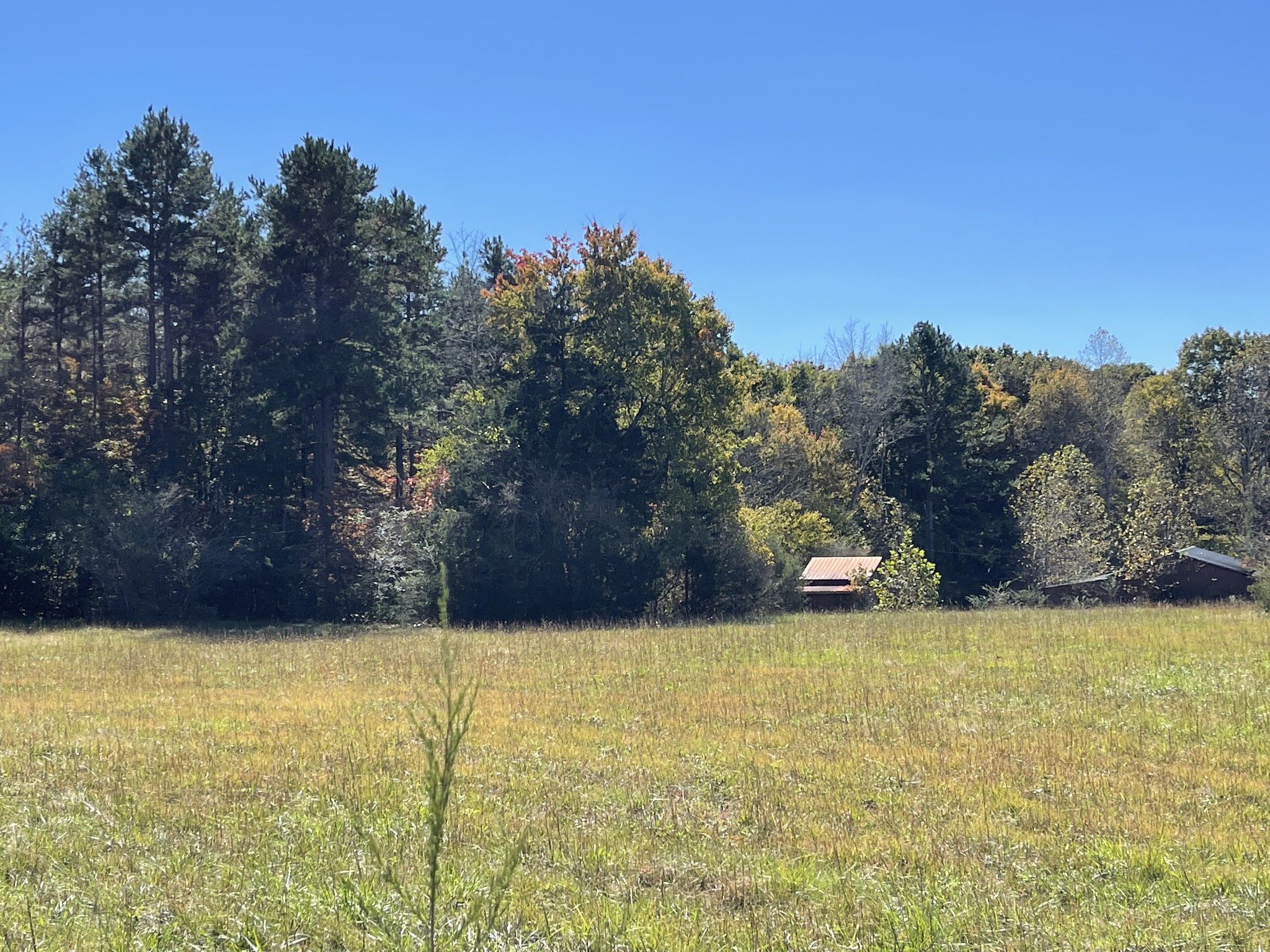 0 Deerwood Road Dickson, TN 37055 - Photo 21 of 24 Gallery Image 21