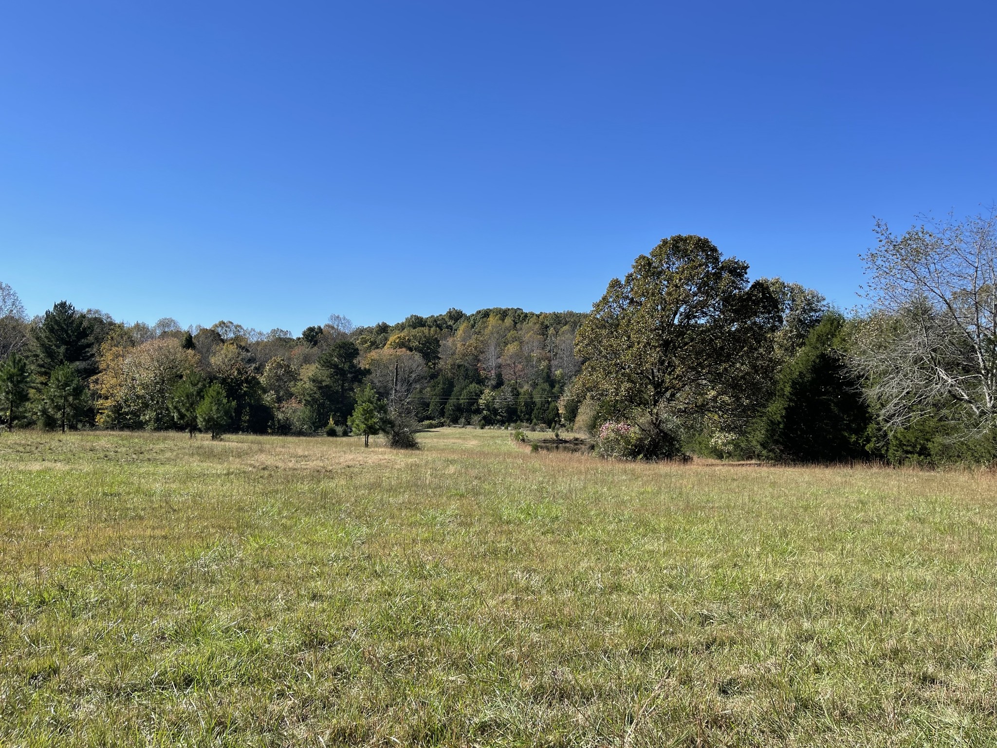 0 Deerwood Road Dickson, TN 37055 - Photo 22 of 24 Gallery Image 22