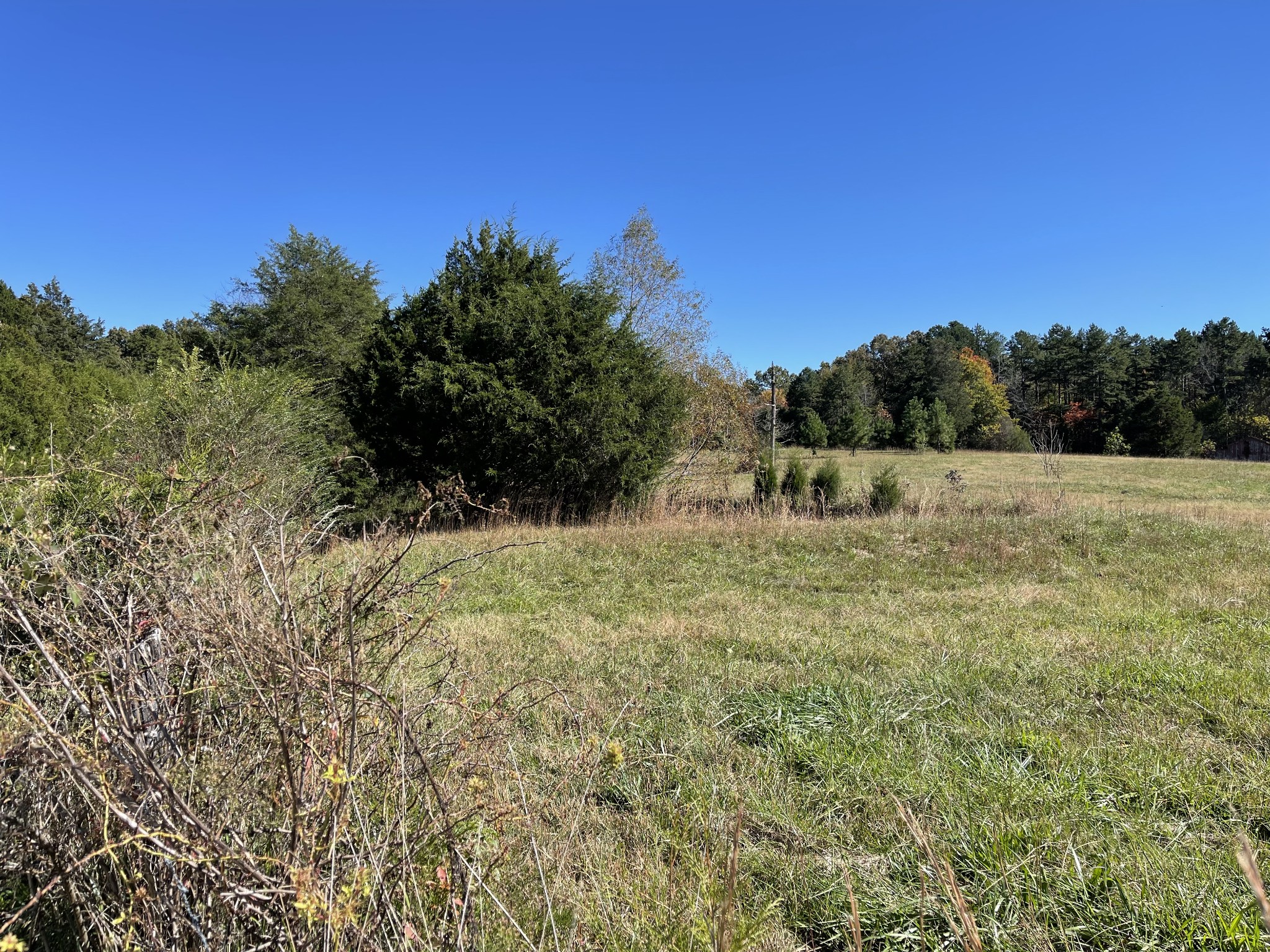 0 Deerwood Road Dickson, TN 37055 - Photo 5 of 24 Gallery Image 5