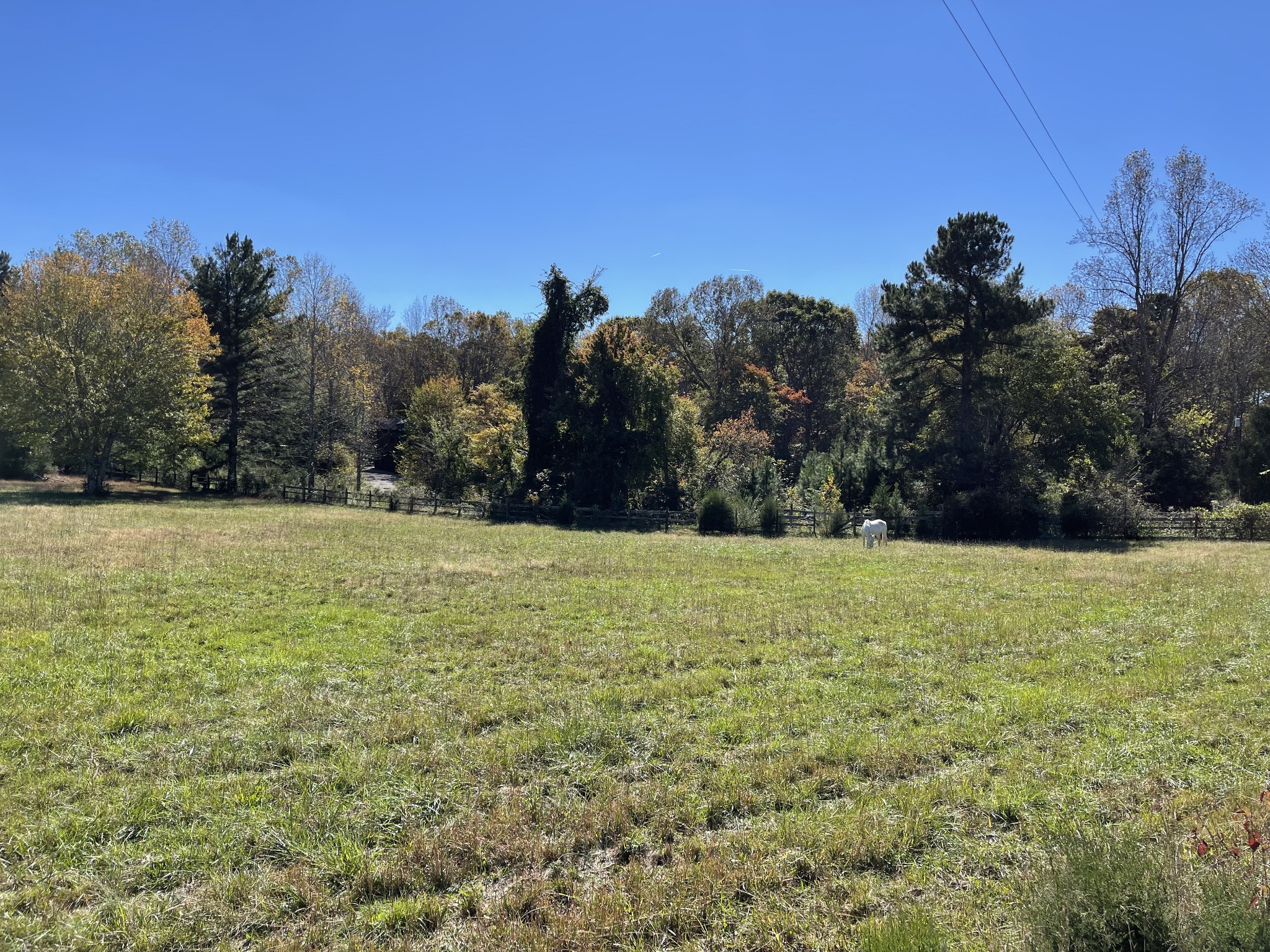 0 Deerwood Road Dickson, TN 37055 - Photo 10 of 24 Gallery Image 10