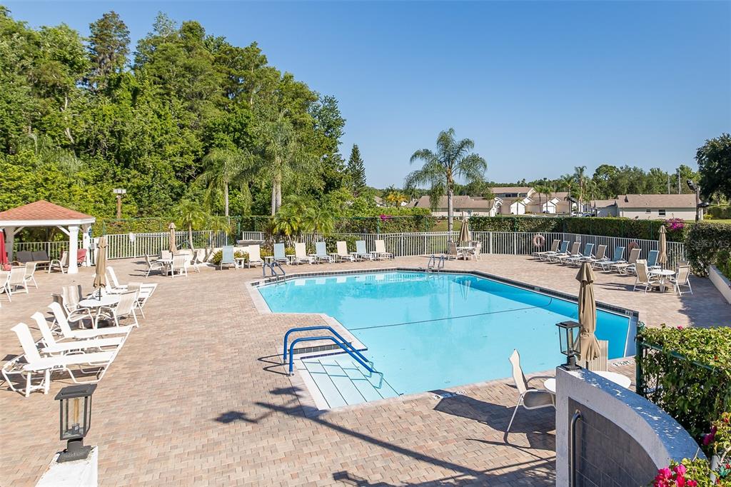 7900 Hardwick Drive, Unit 827 New Port Richey, FL 34653 - Photo 25 of 27 a view of a swimming pool with lawn chairs and plants