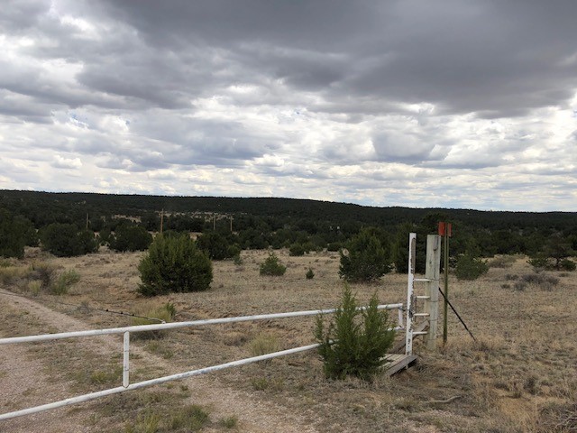 394 Candy Kitchen Road Ramah, NM 87357 - Photo 29 of 29