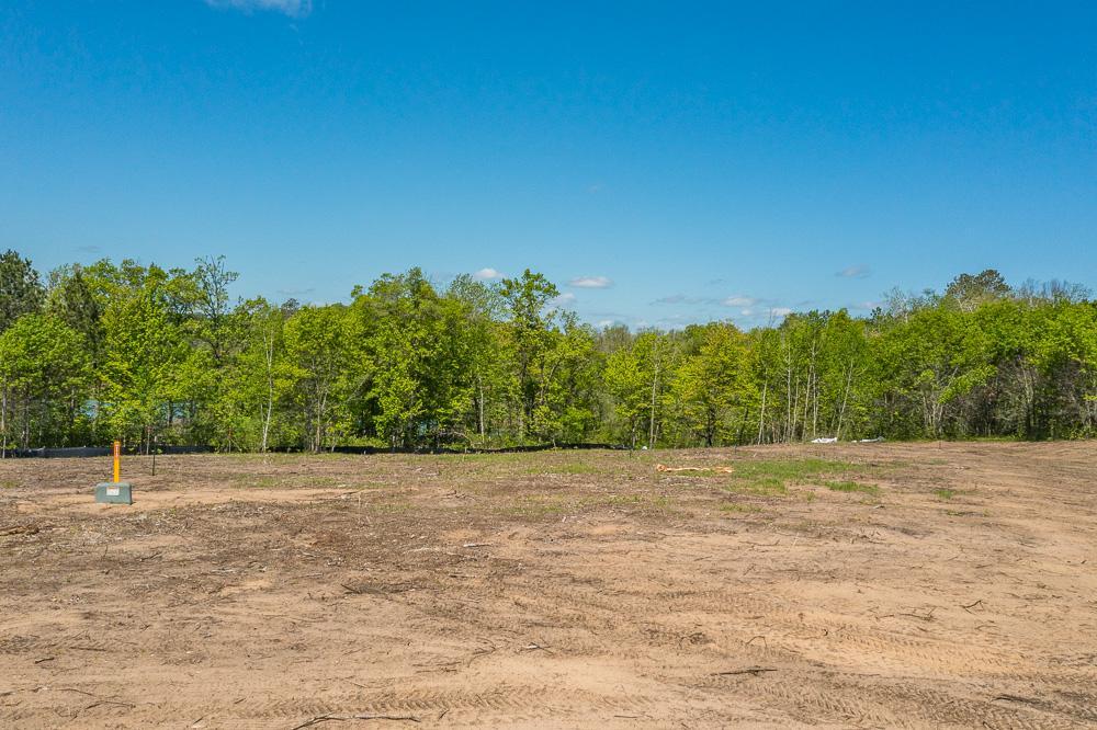 Lot 29 Sanctuary Path Brainerd, MN 56401 - Photo 65 of 107