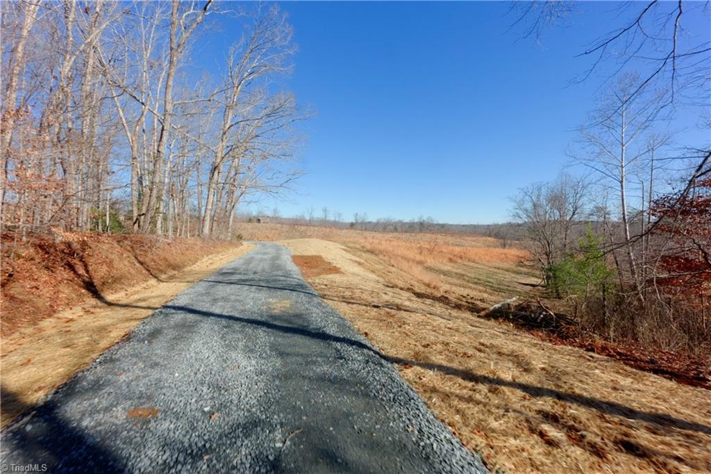 2 Roby Fulk Road Pinnacle, NC 27043 - Photo 12 of 24
