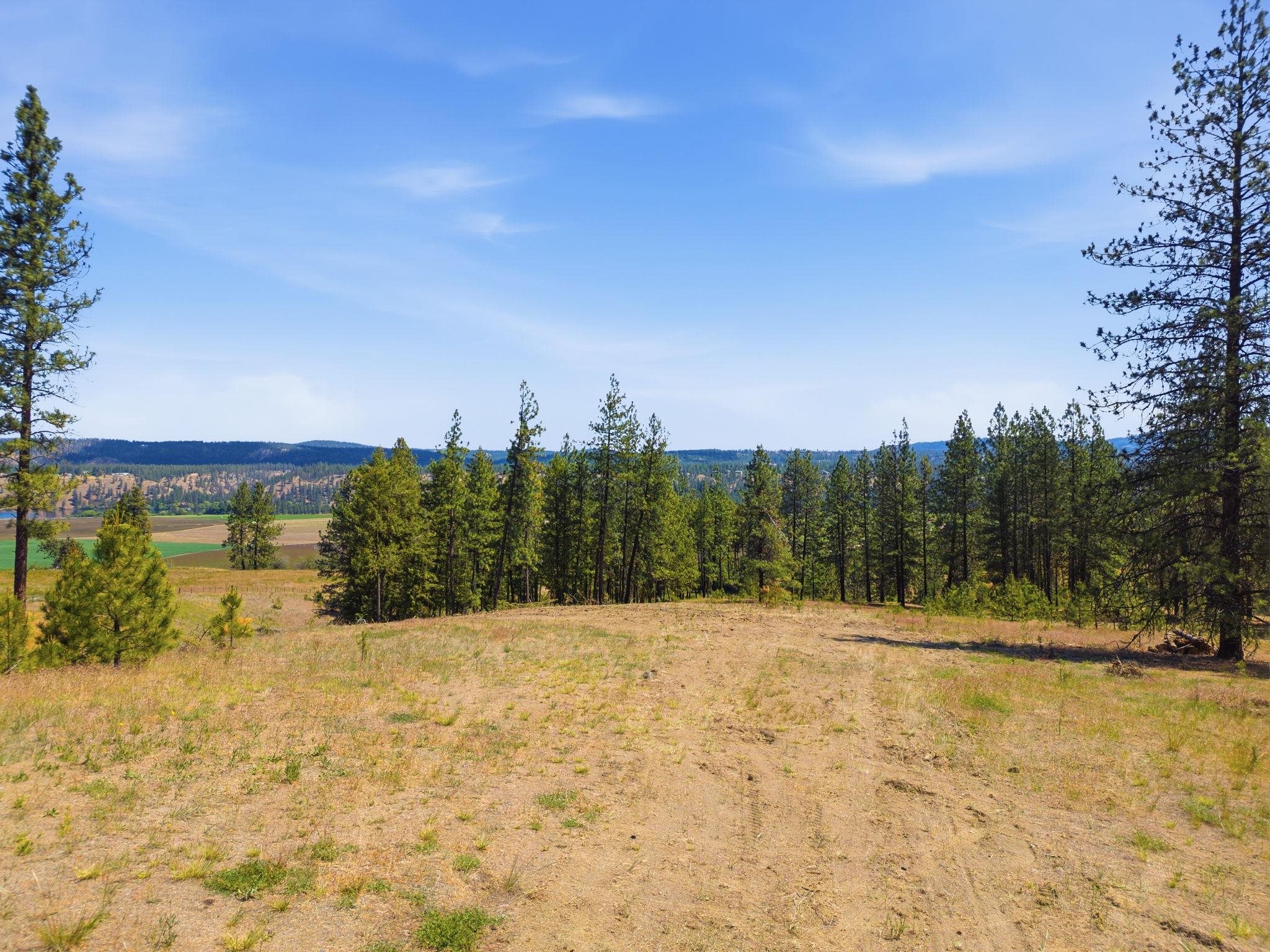 Nine West Charles Road Nine Mile Falls, WA 99026 - Photo 8 of 20