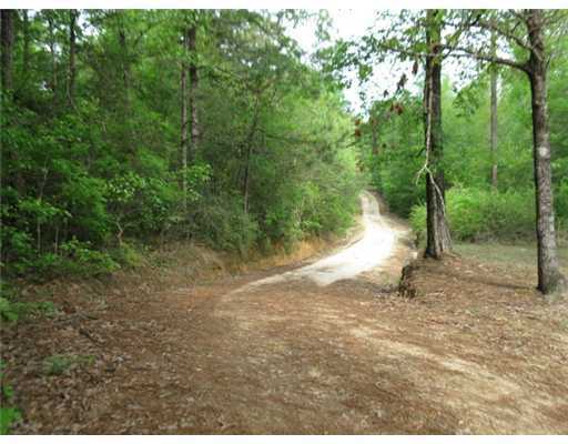 6424 Neely Avera Road Neely, MS 39461 - Photo 24 of 25 Additional Photo