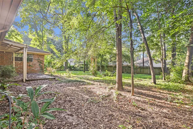 a view of a yard with plants and trees