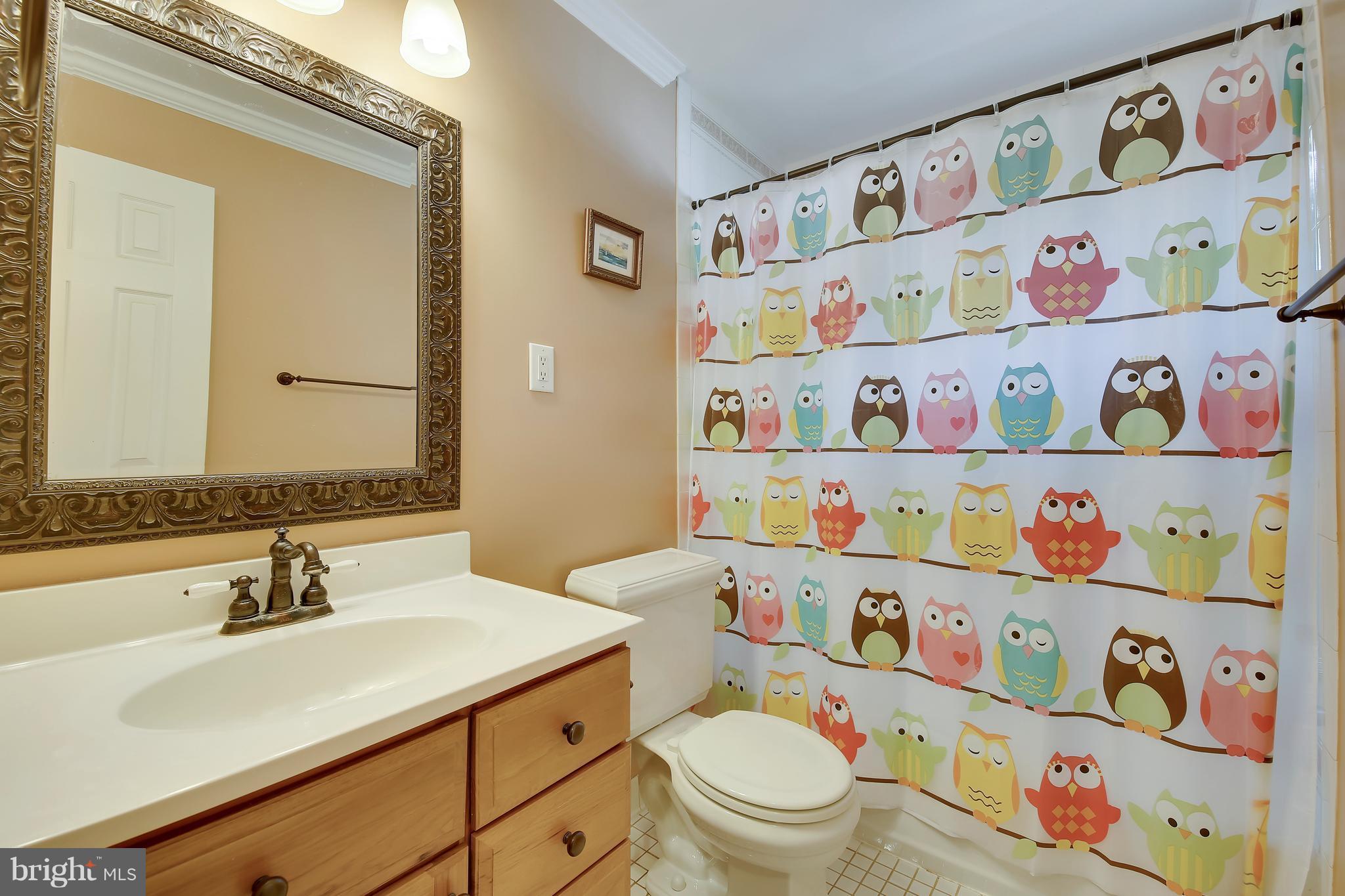 1001 Robin Road Silver Spring, MD 20901 - Photo 13 of 29 Main Level Bath