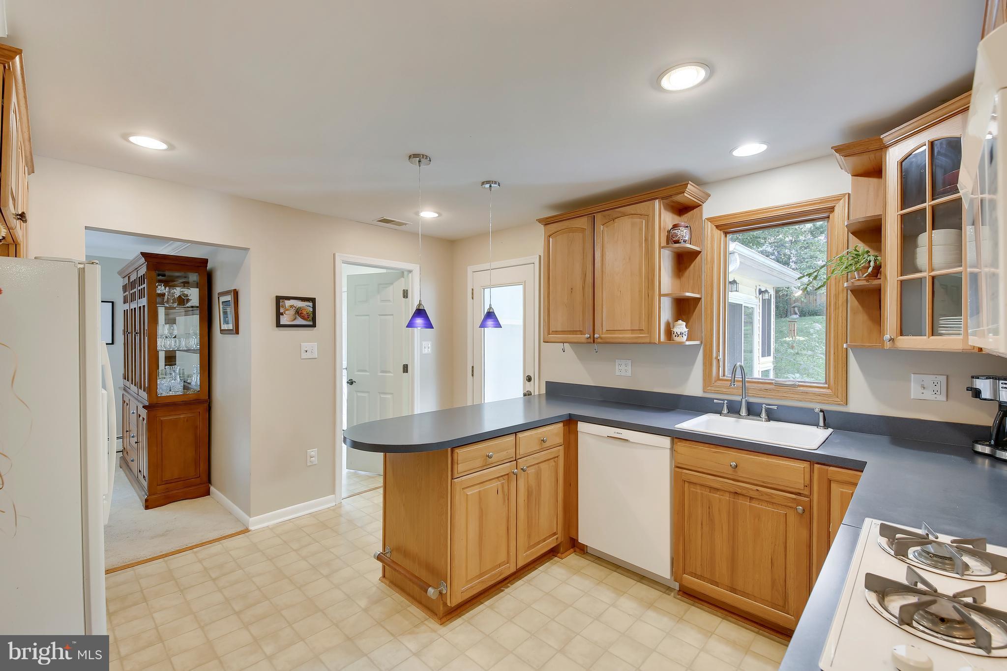 1001 Robin Road Silver Spring, MD 20901 - Photo 10 of 29 Kitchen