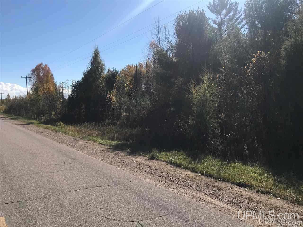 Tbd Co Rd 426 Cornell, MI 49818 - Photo 6 of 20