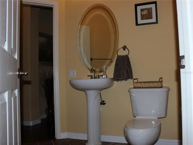 a view of a park with palm trees