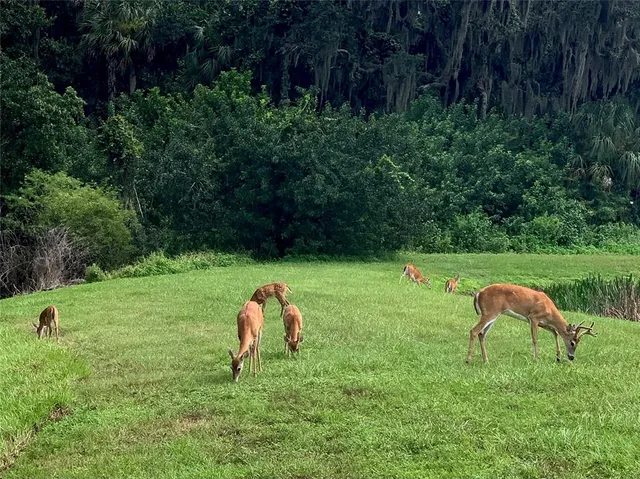 $925,000 | 406 Petrel Trail, Bradenton, FL 34212