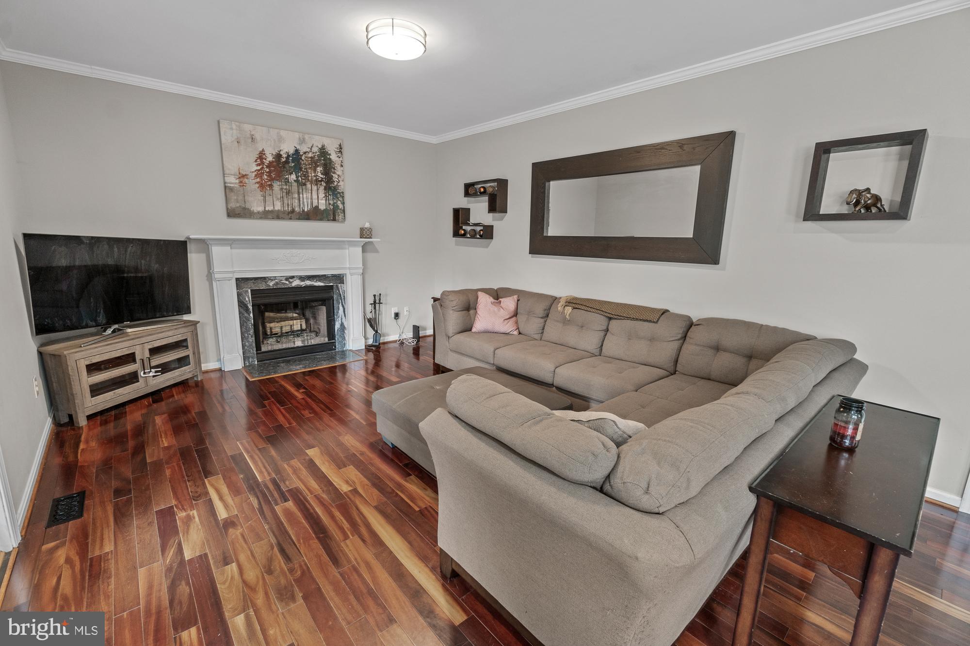 17209 General Custer Way Poolesville, MD 20837 - Photo 31 of 67 Family room is big screen ready....