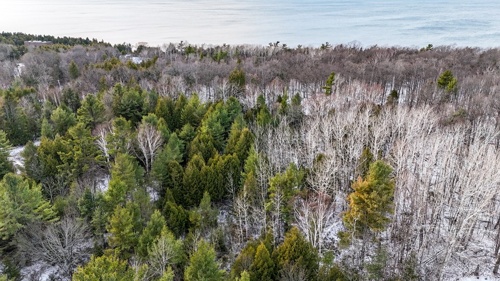 Parcel A Gibraltar Blf Road Fish Creek, WI 54212 - Photo 5 of 11