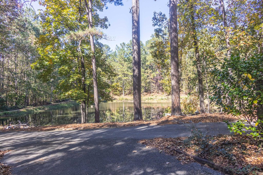 1109 Richardsons Lake Road Aiken, SC 29803 - Photo 9 of 66