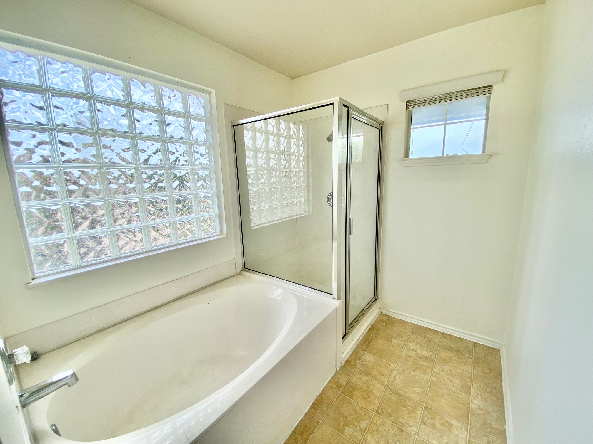 1000 Berry Bend Path Round Rock, TX 78664 - Photo 7 of 20 A well-lit bathroom features a glass block window for privacy, complementing the shower enclosure and inviting bathtub.