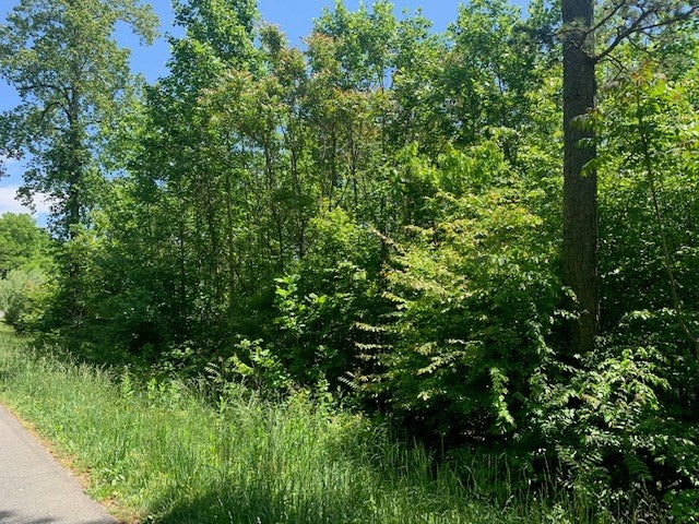 Morning Star Road, Unit 1 Appomattox, VA 24522 - Photo 5 of 6 Gallery Image 5