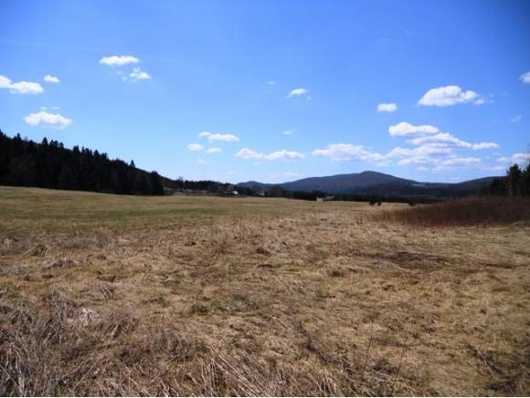 14 Hall Stream Road Colebrook, NH 03576 - Photo 2 of 6